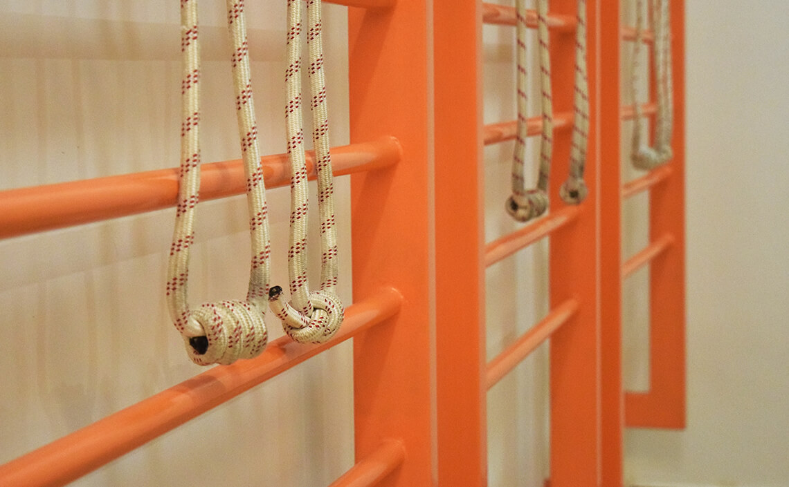 Product Wall Ropes In Orange Ray